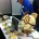 Since 2008 Kenosha has been putting on the Dairy State Cheese & Beer Festival. So we decided to head north and see what it was all about. Held at the...