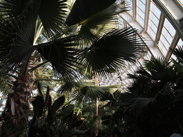 one of the largest most stunning conservatories in the nation