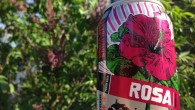 Rosa – Revolution Brewing In just three years Revolution Brewing went from a small brewpub in Logan Square to one of the largest breweries in Chicago. Their bombers and cans were a wonderful addition...