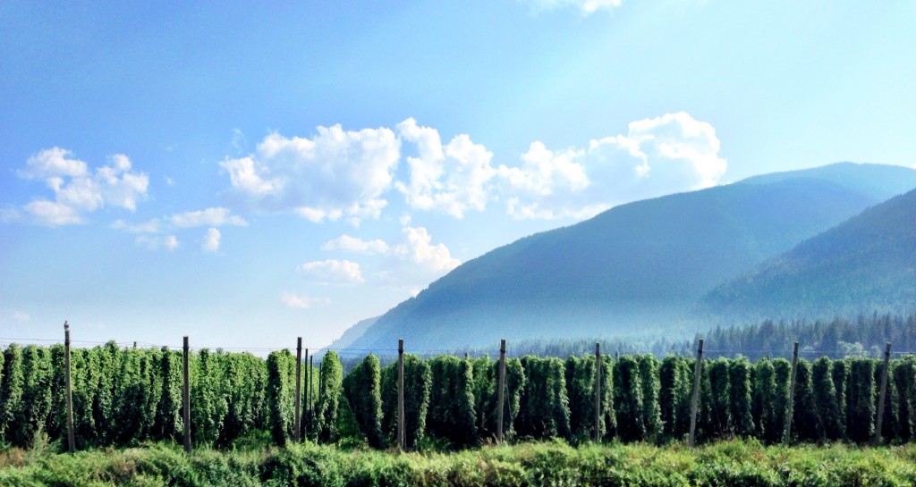 Elk Mountain Farm, Bonners Ferry, Idaho