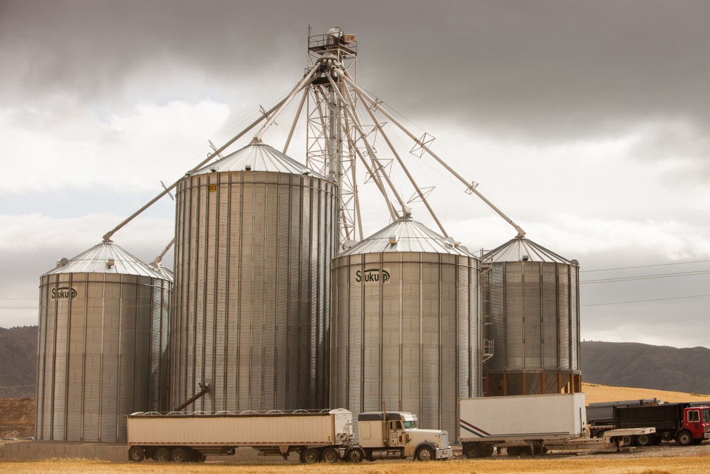 Clark Hamilton Barley Farm