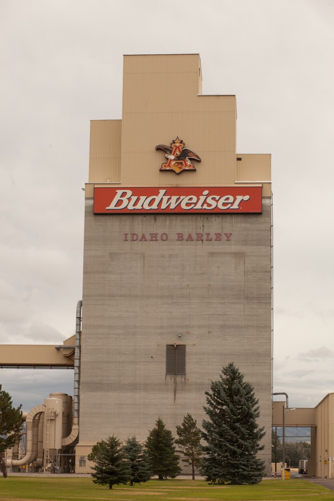 Idaho Falls, ID