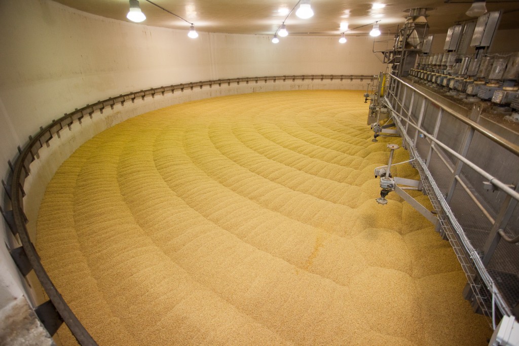 batches represent 200 acres of barley